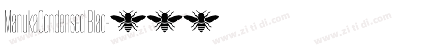 ManukaCondensed Blac字体转换